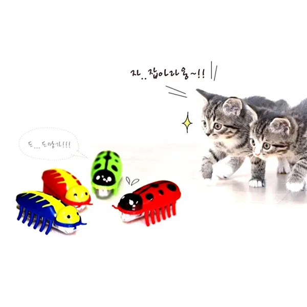 펫모닝 고양이 강아지 자동 버그 장난감 랜덤 고양이장난감 고양이공 고양이벌레 고양이용품 고양이자동벌레, 1개