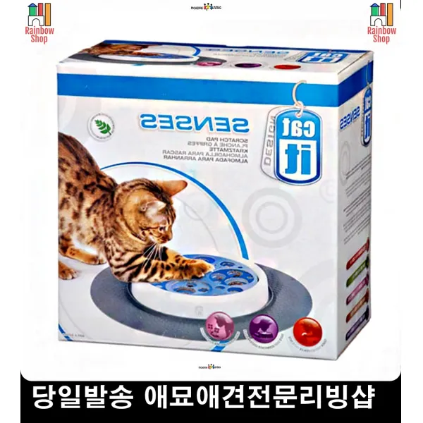 스트레칭 죽은살관리 스크레치패드 아깽이놀아주기 고양이스트레스해소