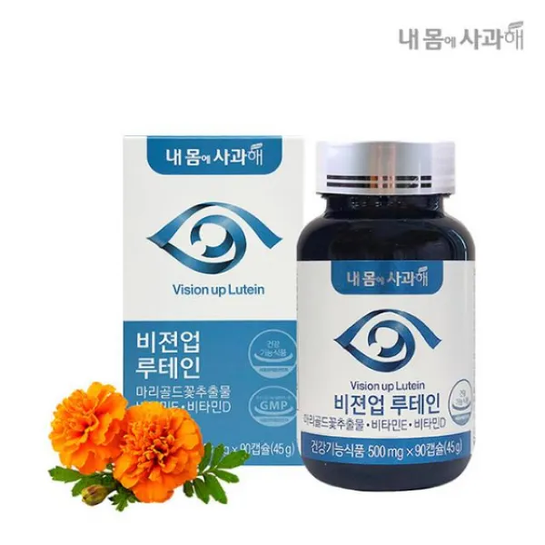 내몸에사과해 비젼업 루테인 1박스 3개월분 90정 
