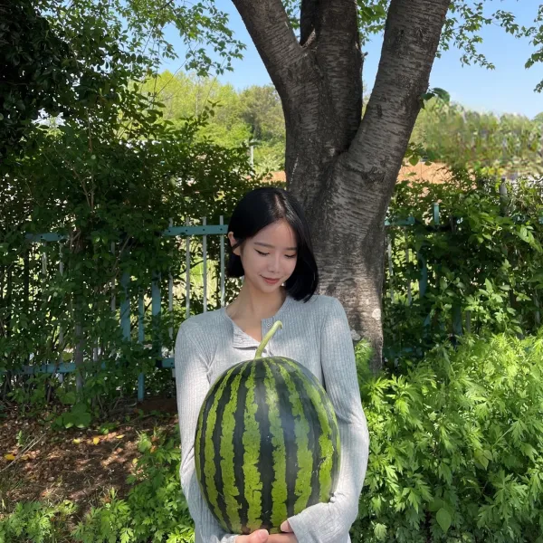 [과애모] 프리미엄 고당도 왕 수박 7~10kg 선물용 가정용, 8kg~9kg