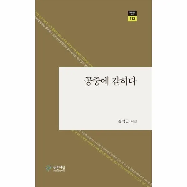 공중에 갇히다 - 112(푸른사상시선), 푸른사상