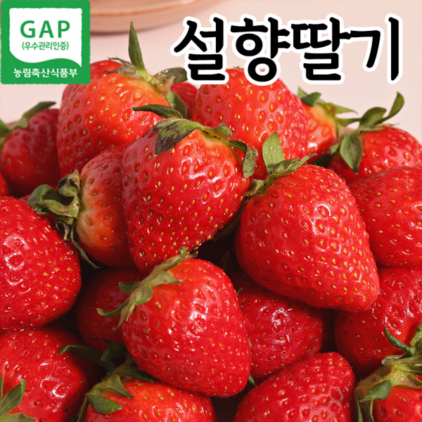 푸릇푸릇 제철 딸기 설향딸기 특사이즈 1kg 2kg, 딸기 1kg (500gx2팩)