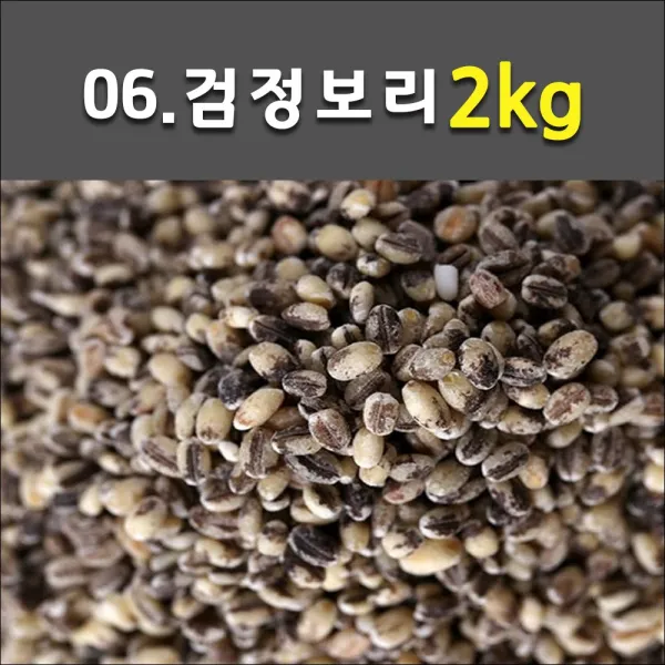 무농약 전남 백미 영광 햇보리 녹색보리 검정보리 귀리 각종 혼합잡곡, 1개, 06_검정찰보리쌀 2kg