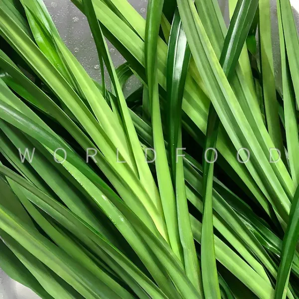 월드푸드 냉동 판단잎 카야잼만들기 판단 재료 Pandan Leaf 480g, 480g