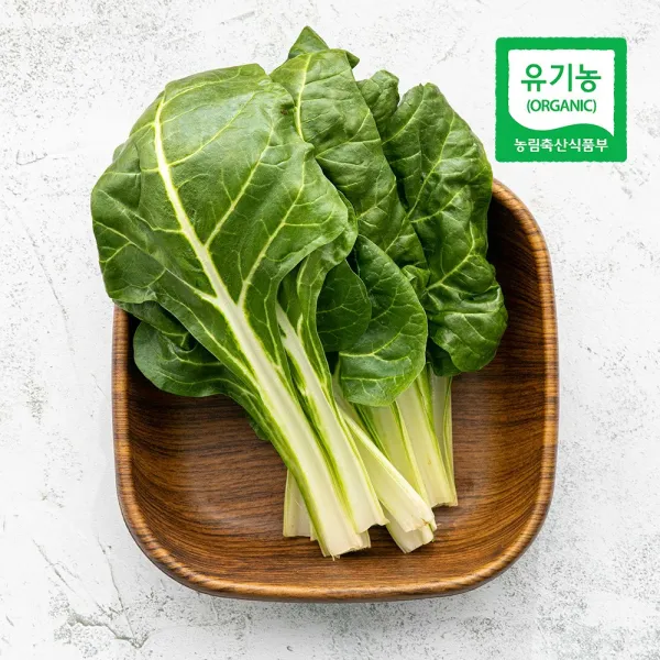 삼시세끼연구소 유기농 친환경 근대 국산 근대나물 근대채소 250g 300g, 친환경 근대 250g