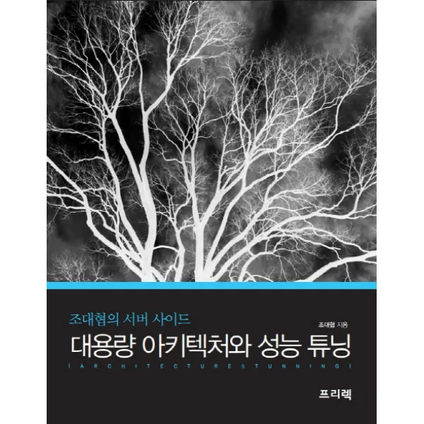 대용량 아키텍처와 성능 튜닝:조대협의 서버 사이드, 프리렉
