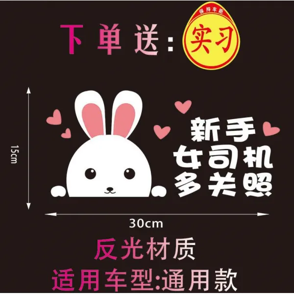 깔롱쟁이 예의로써 사양함 여성 담당함 차량 개성 인싸템 웃기다 여자 앞만 보고 돌아보지 않다 뒤 실습 새내기 리플렉터 리틀래빗 :새내기 많다 관심을돌리다