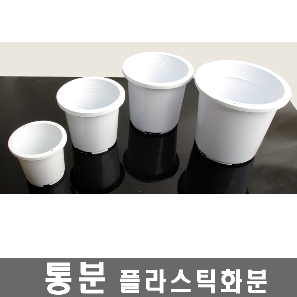 통분-플라스틱화분 백색화분 모종분 재배분, 통분 3.5호 * 10개