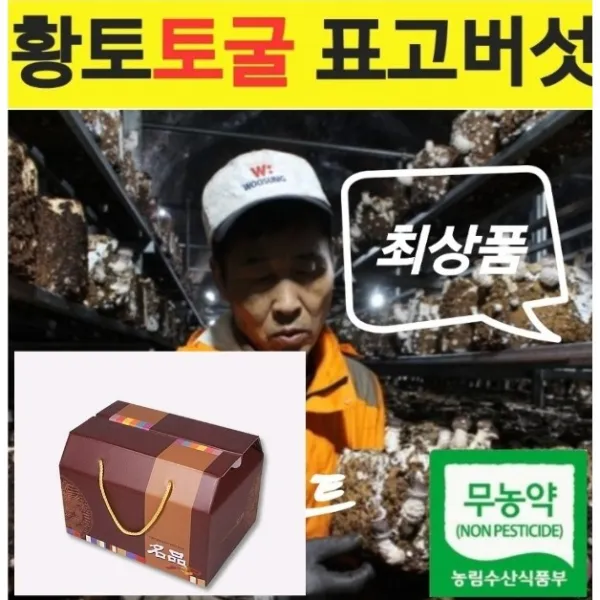 [황토토굴 표고버섯] - 