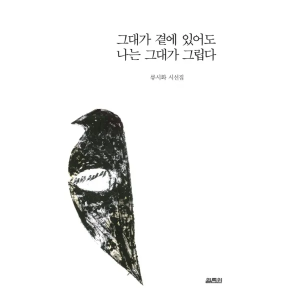 그대가 곁에 있어도 나는 그대가 그립다:류시화 시선집, 열림원