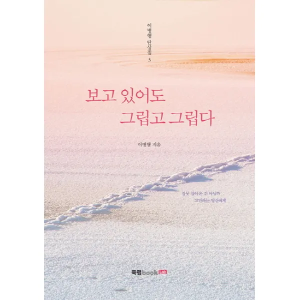 보고 있어도 그립고 그립다:잘못 살아온 건 아닐까 고민하는 당신에게, 북랩