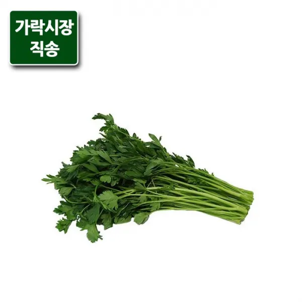 가락시장직송 이태리파슬리 300g 단품