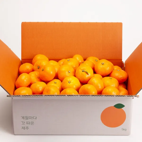 깨비농원 조생 감귤 4.5kg, 1box, 조생 감귤 4.5kg 로얄과