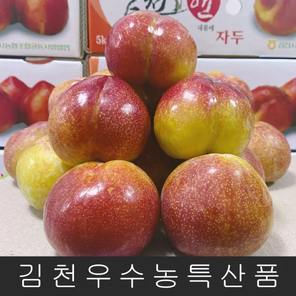 김천명품자두농원 [5kg]김천자두 (홍료센 후무사 피자두 추희) 특(101g~120g), 1박스
