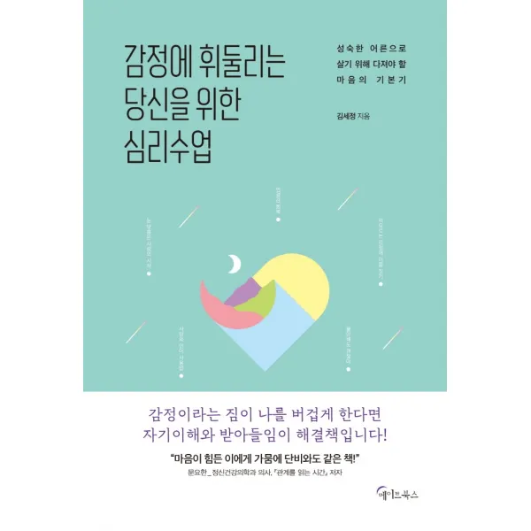 감정에 휘둘리는 당신을 위한 심리수업:성숙한 어른으로 살기 위해 다져야 할 마음의 기본기, 김세정, 메이트북스
