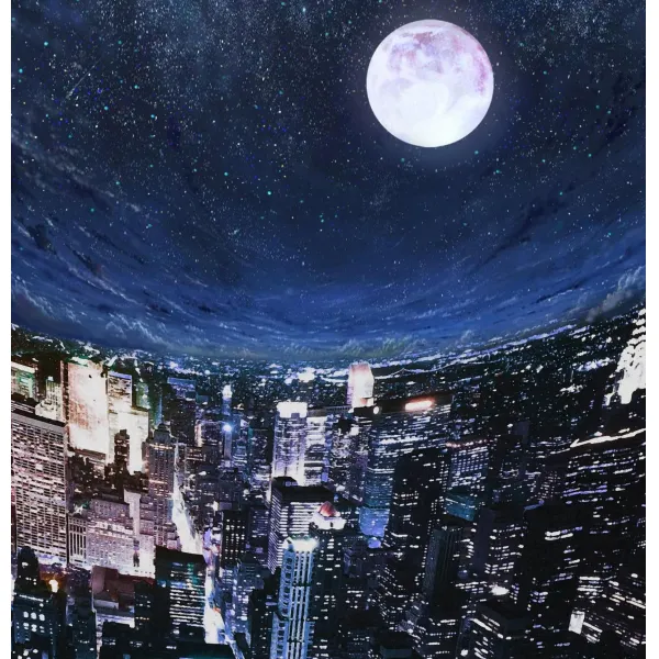 피규어 이동함 움직이지 않다 ANIPLEX 에어 경지 양례식 내려다보다 스트릿 전용 아크릴 전시함 케이스 2333330650, 상하 쌍등 구조 (불과 판매 전시함