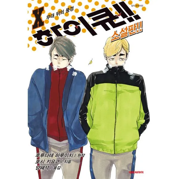 하이큐!! 10 : Nt Novel 대원씨아이 단행본 