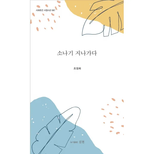 소나기 지나가다, 조정희 저, 실천