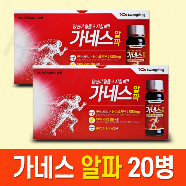 광동 가네스 알파 100ml x20병 만성 피로 회복 음주전후 음료, 2박스 (20병)
