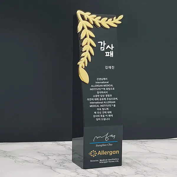 [알리다상패] 감사패 상패 부모님감사패 회사상패 교회상패 감사패제작 트로피 (크리스탈메탈)SD20-12