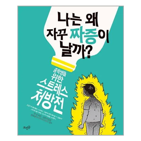 뜨인돌 나는 왜 자꾸 짜증이 날까? (마스크제공), 단품