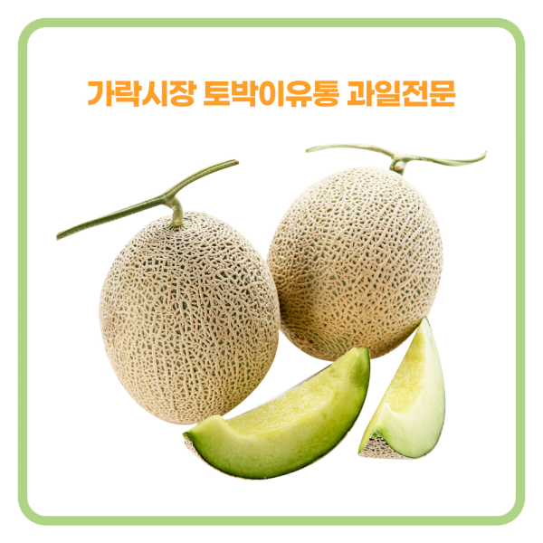 [가락시장 토박이유통] 멜론 특대 3수 / 4수 8kg