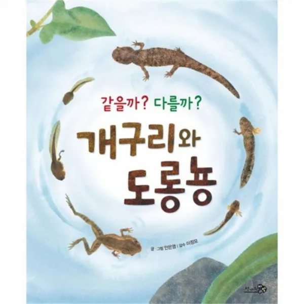 웅진북센 같을까 다를까 개구리와 도롱뇽 빅북