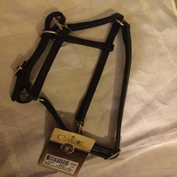 Camelot suckling 0-3 months stable halter 카멜롯 유아 0-3 개월 안정적인 고삐, 1
