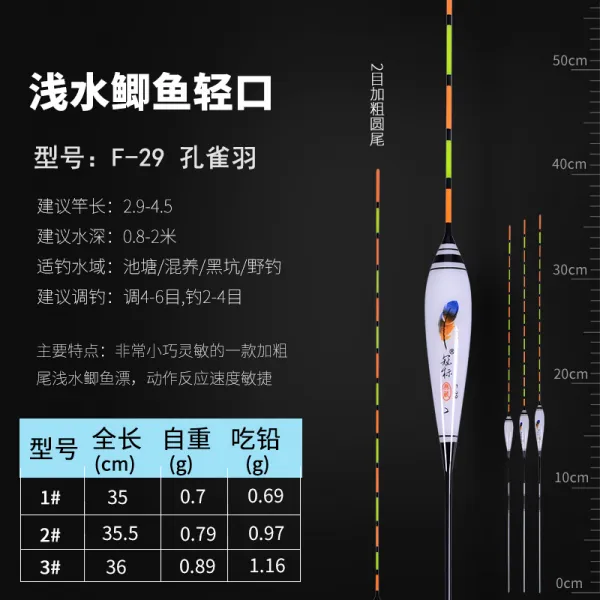 공작새 날개 부둥켜쥐고 쇄목 초강아지 영민 경입 붕어물밑낚시 떠도는 입 물고기 표백 굵어 눈에 띄는 1번단즈룩 F29굵게