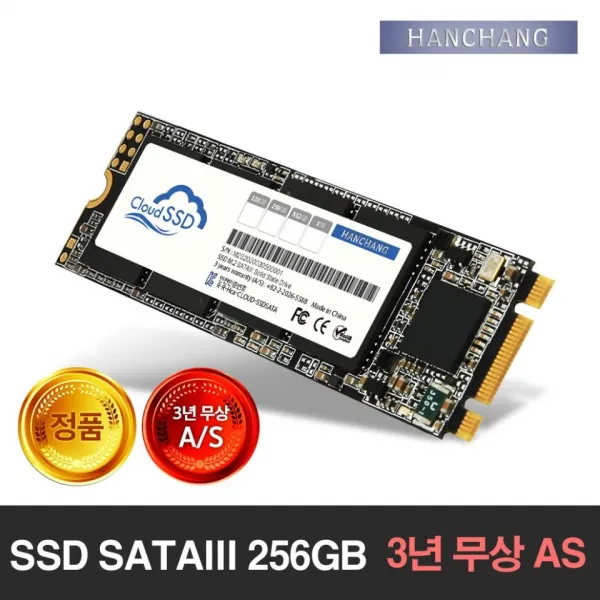 한창코퍼레이션 (당일배송) CLOUD SSD M.2 SATAIII 256GB