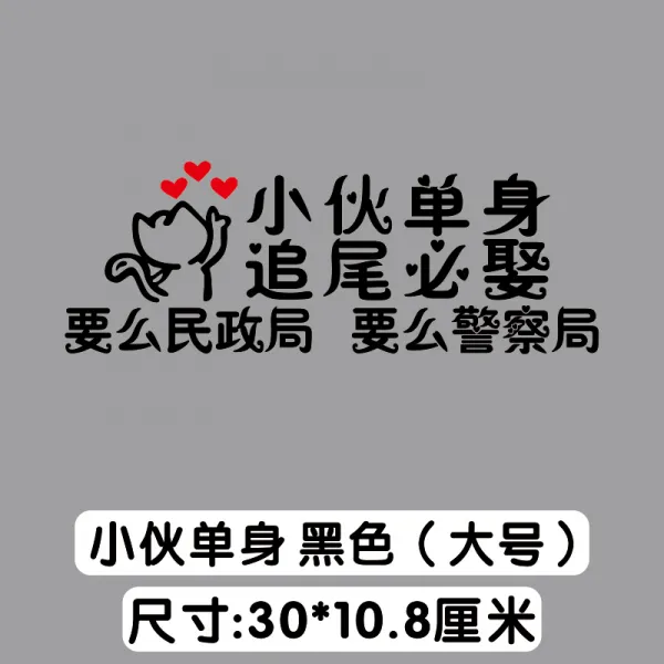 에스앤피 나이 먹은 것이다 여성 추돌 시집가다 차량용 장가들다 자동차 젊은남자 소녀 독신자 정국, 젊은남자 독신 블랙 （큰사이즈 라지