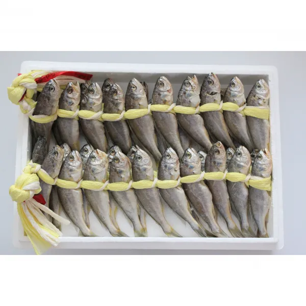 영광 법성포 굴비 가정용 40마리 2.6kg 18cm (1.3kg x 2두름) 실속포장 알찬실속세트