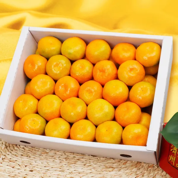 청정365 제주 하우스 감귤, 1box, 하우스감귤3kg(31-50과)