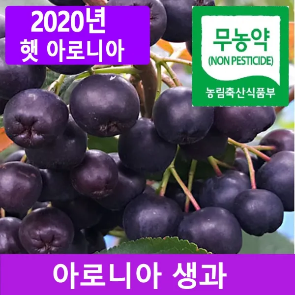  특품 2020년 햇 아로니아 냉동생과 5kg 10kg 1box