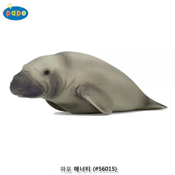 파포 바다 동물 공부용 고급 명품 피규어 아동선출 학습용