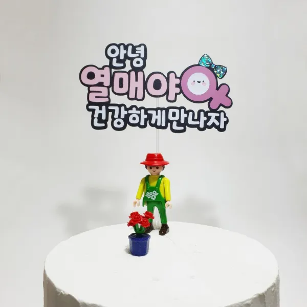 태명 성별 주문제작 임신토퍼 만삭 축하 아기 축하선물 15x10cm