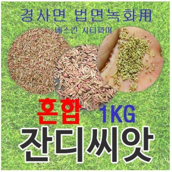 [법면 경사면용] 혼합양잔디씨앗 1kg 약10평/무료배송/발아율 80%이상/잔디씨 잔디씨앗 양잔디씨 양잔디씨앗 법면녹화 사방공사