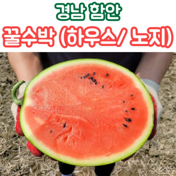 함안 수박 꿀수박 고당도수박 하우스수박 노지수박 4kg 7kg, 하우스_함안수박_4kg