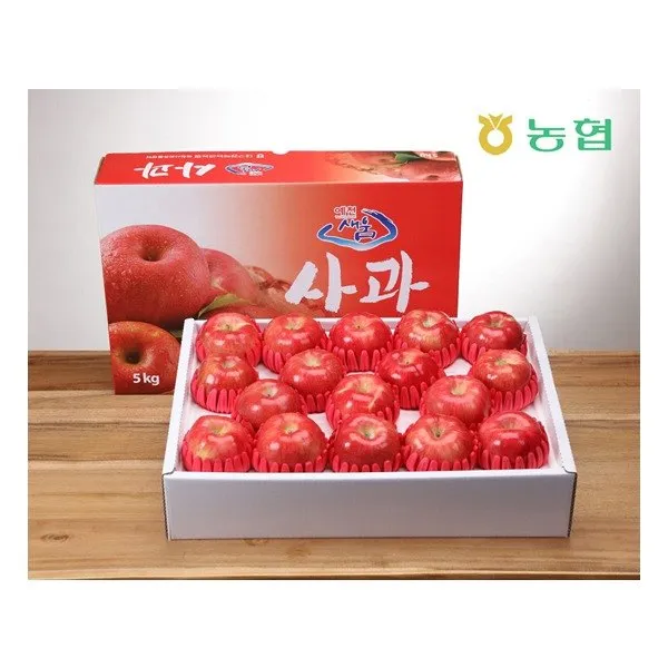 [대구경북능금농협] [경북능금농협] 프리미엄 경북사과 5kg 17~19과(중상) 부직포가방, 상세 설명 참조