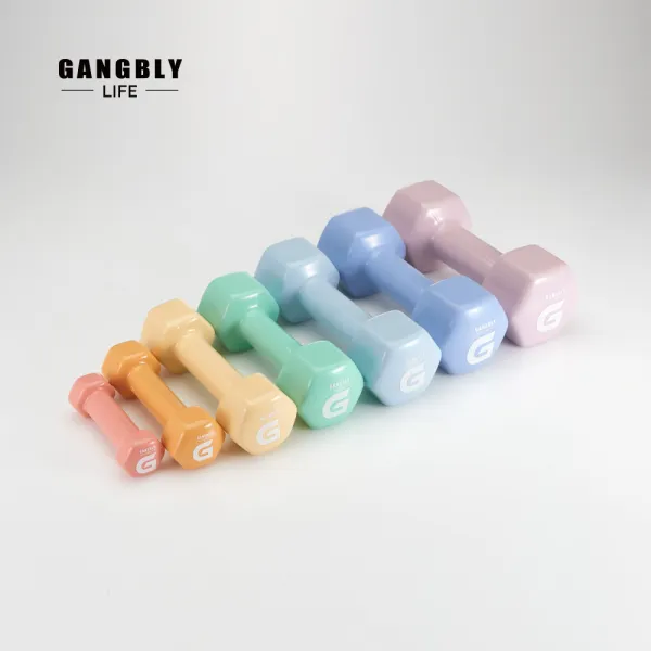 강블리라이프 G시리즈 덤벨 0.5kg~6kg세트 2개입 세트구성 / 팬톤 컬러 4kg세트 2개입 