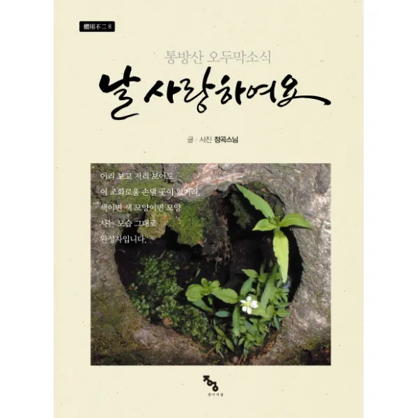날 사랑하여요:통방산 오두막 소식, 종이거울