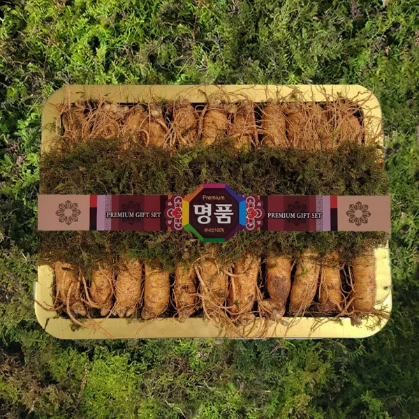 금산인삼 수삼 선물용(등나무6호)원수삼특대 2.25kg 4~6년근 21~24뿌리, 1