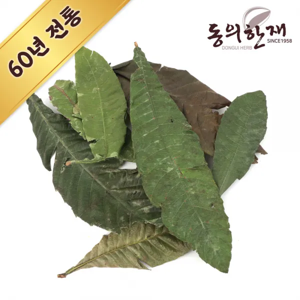 동의한재 비파엽 비파잎 제주도산 600g 햇것 100% 잎만있음, 단품