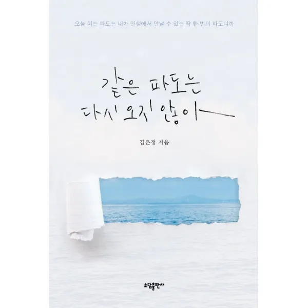 같은 파도는 다시 오지 않아, 김은정, 소담출판사