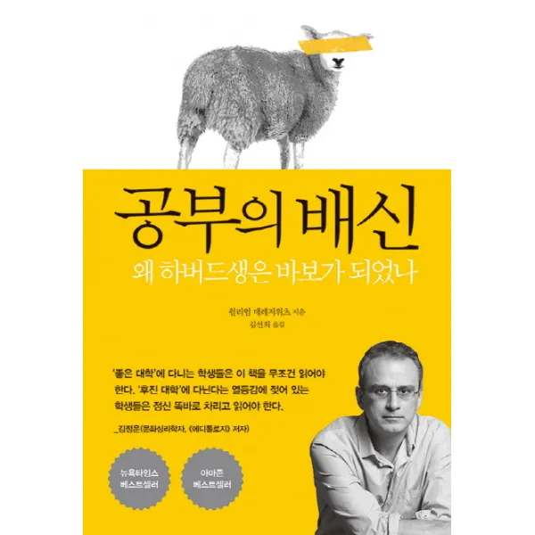공부의 배신:왜 하버드생은 바보가 되었나 다른