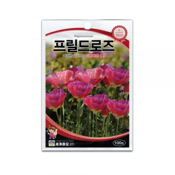 모칸도 (무배)세계 프릴드로즈 꽃씨 100립