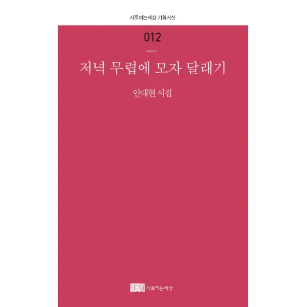 저녁 무렵에 모자 달래기:안태현 시집, 시로여는세상