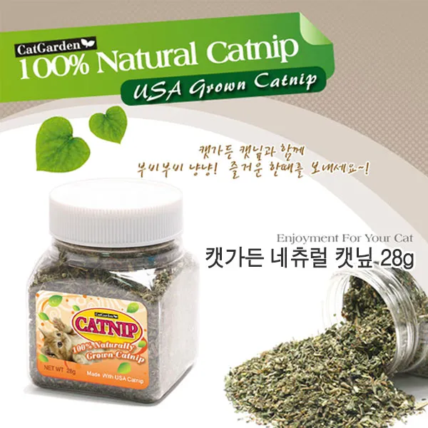 ¶⊙핫딜_A+ 28g 만능약 캣닙 고양이용품 내추럴 신비의명약 스트레스해소 (‡ft†u), ♬본 상품 선택하기_Wealth™, 1개