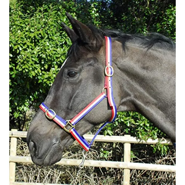 Rhinegold Nylon Headcollar-X Full-Red / White / Blue Halter 빨강 / 흰색 / 파랑 냉혈 / 온혈 특대, 단일옵션