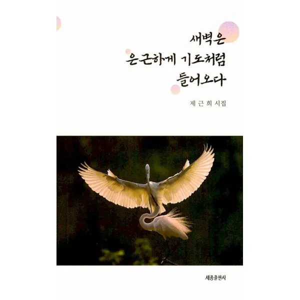 새벽은 은근하게 기도처럼 들어오다